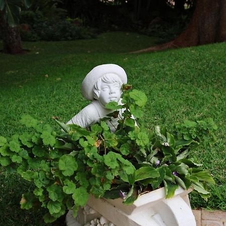 Bed and Breakfast The Victorian Manor Victoria Falls Esterno foto
